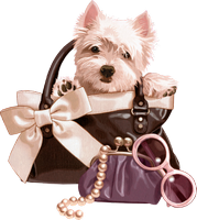a white puppy in a handbag 
